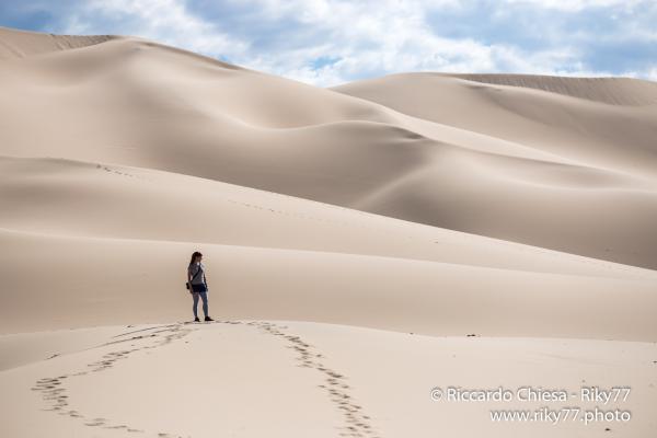 Khongryn Els - Gobi desert